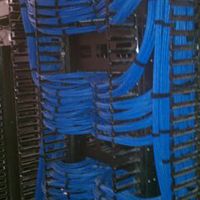 Berk-Tec Cat 6A on Leviton Patch Panels